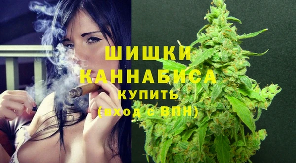 гидропоника Богданович