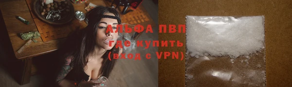 стаф Белокуриха