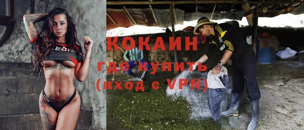 стаф Белокуриха